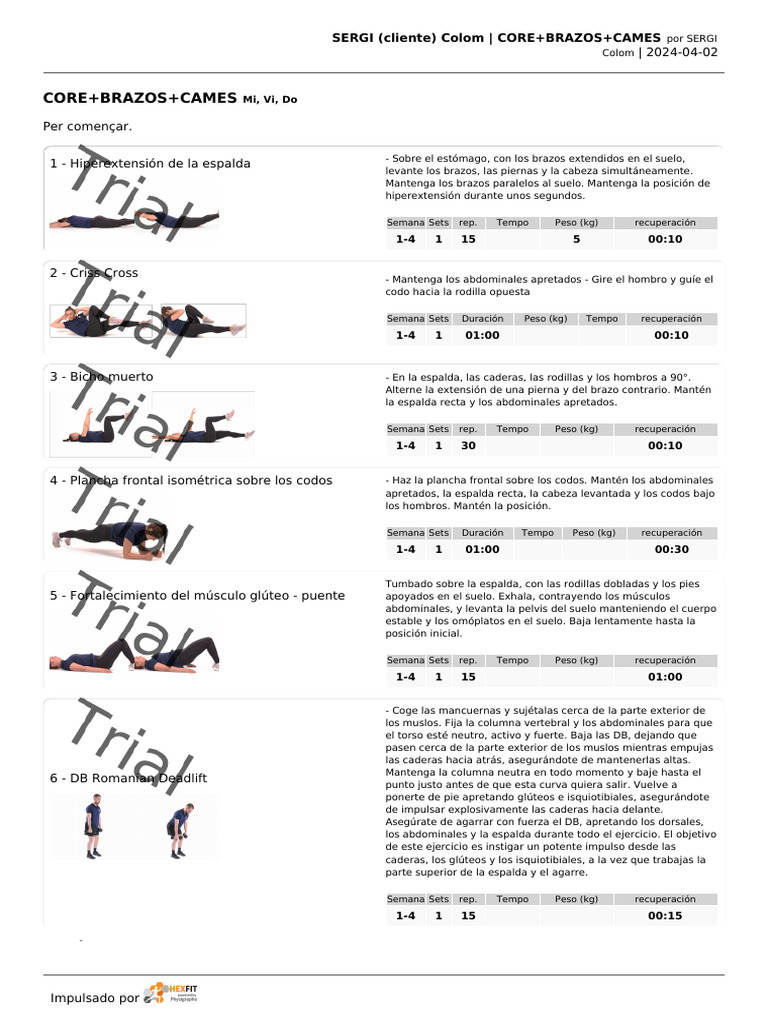 Core Brazos Cames | PDF | Anatomía humana
