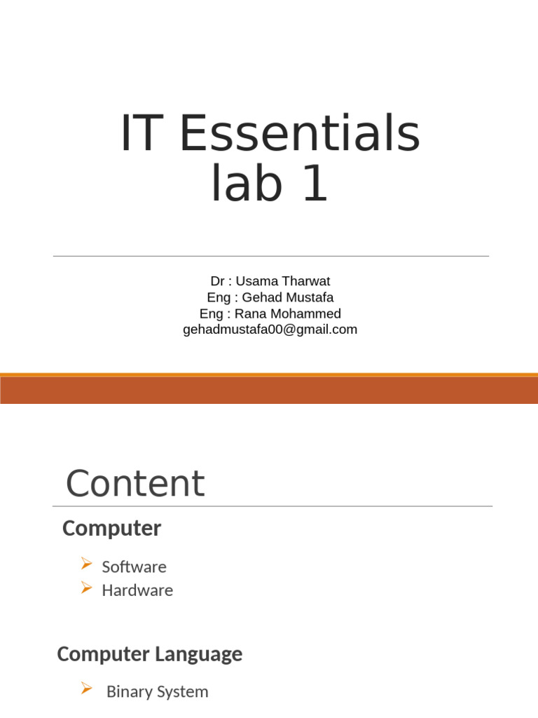 IT Essentials: Software, Hardware, & Languages | PDF