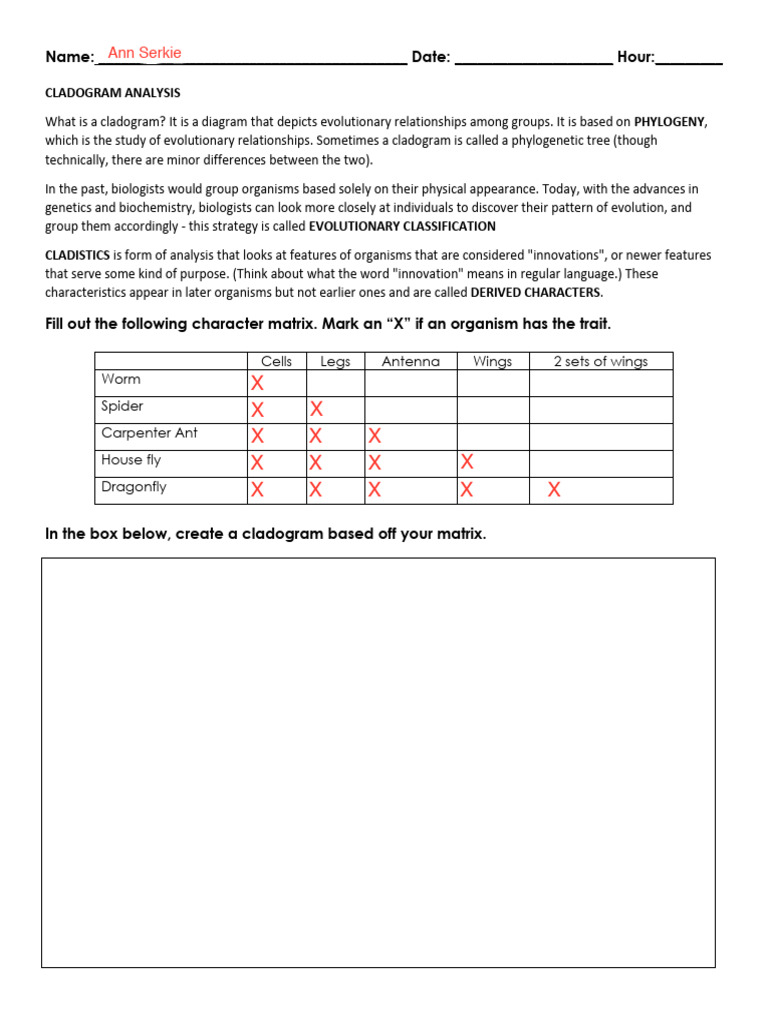 Cladogram Analysis and Evolutionary Classification | PDF | Nucleic Acid ...
