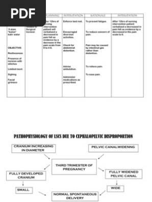 Ncp Pdf