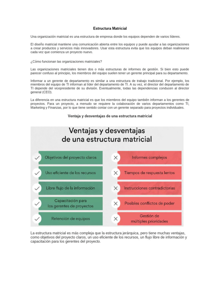 Estructura Organizativa Matricial | PDF | Matriz (Matemáticas ...