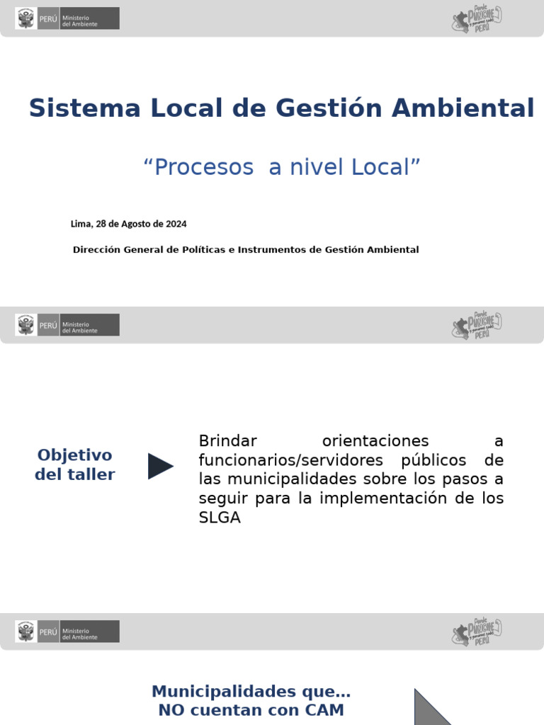Slga Detallado Dgpiga 280824 | PDF
