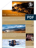 The Wildspace Echo (Oct-Dec)