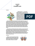 Katalase Enzyme