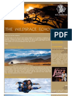 The Wildspace Echo