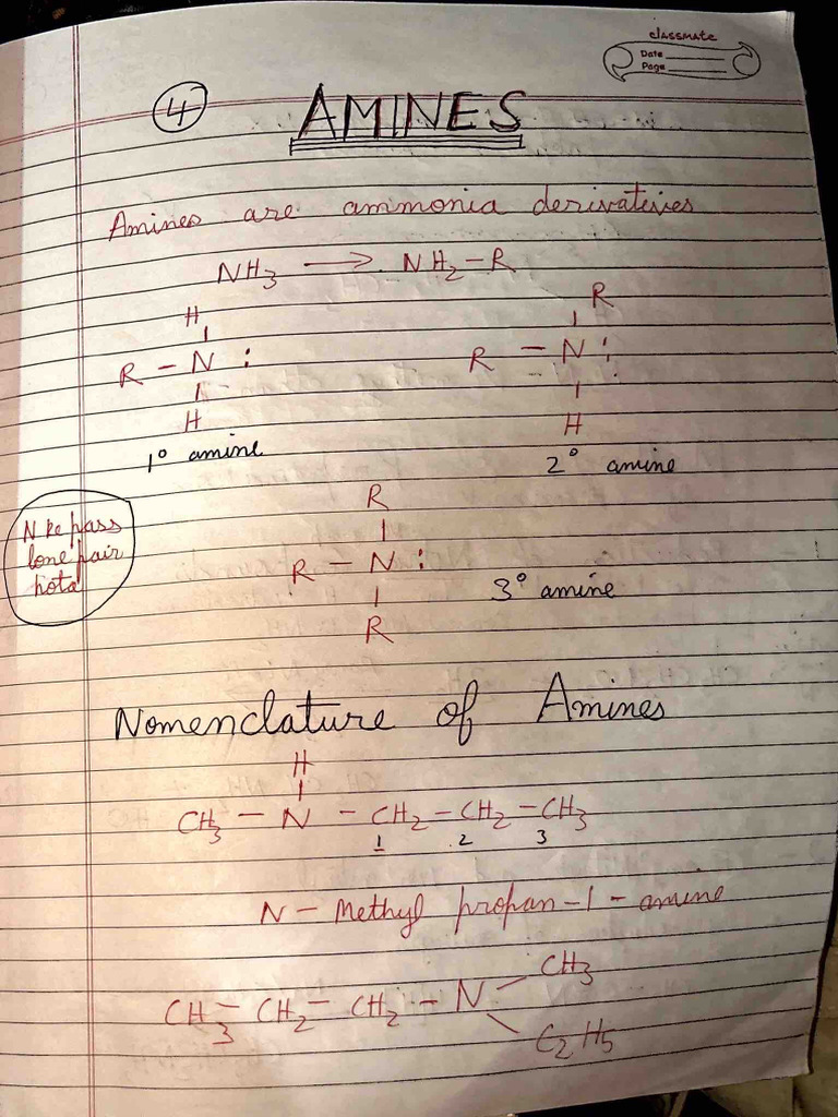 Amines Notes | PDF