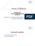 Lecture #14 - Plasma Membrane Structure & Transport Channels