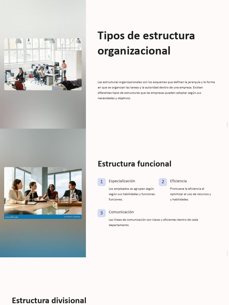 Tipos de Estructura Organizacional | PDF | Business | Mercado (economía)