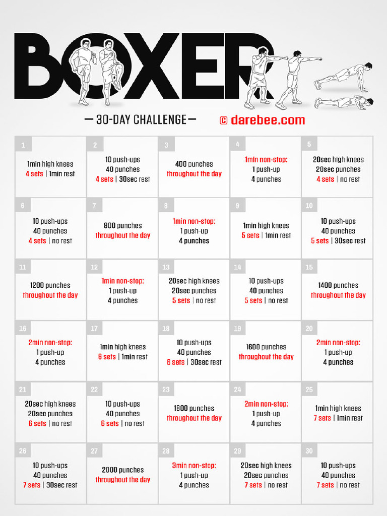 Boxer Challenge | PDF