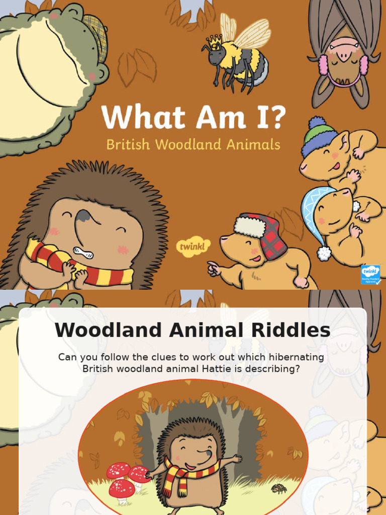 Woodland Animal Riddles for Kids | PDF