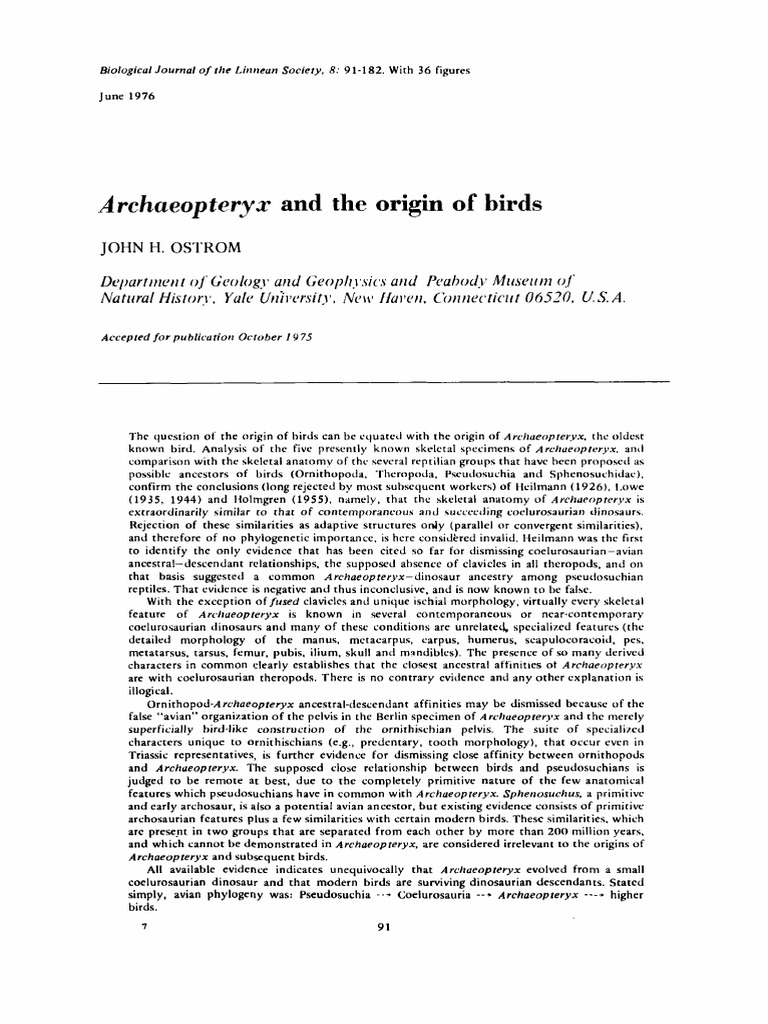 Archaeopteryx and The Origin of Birds | PDF | Dinosaurs | Pelvis