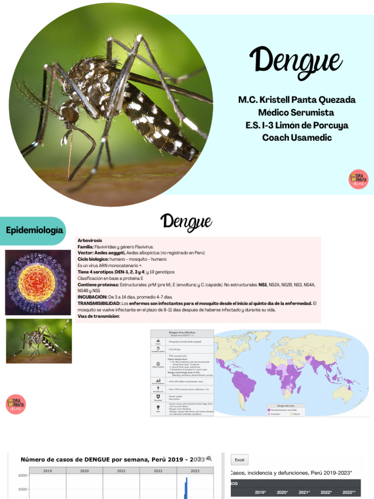 Clase Dengue | PDF | Enfermedades y trastornos | Microbiología