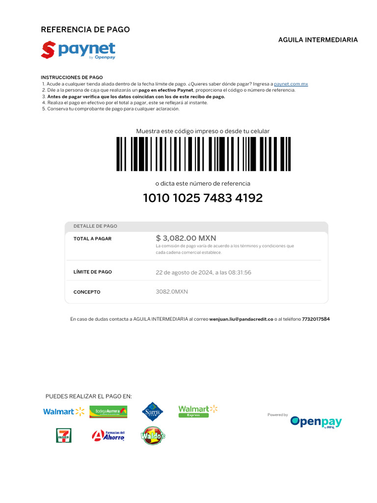 Instrucciones para Pago Paynet | PDF | Finanzas y dinero