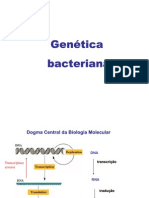 Aula - Genética Bacteriana