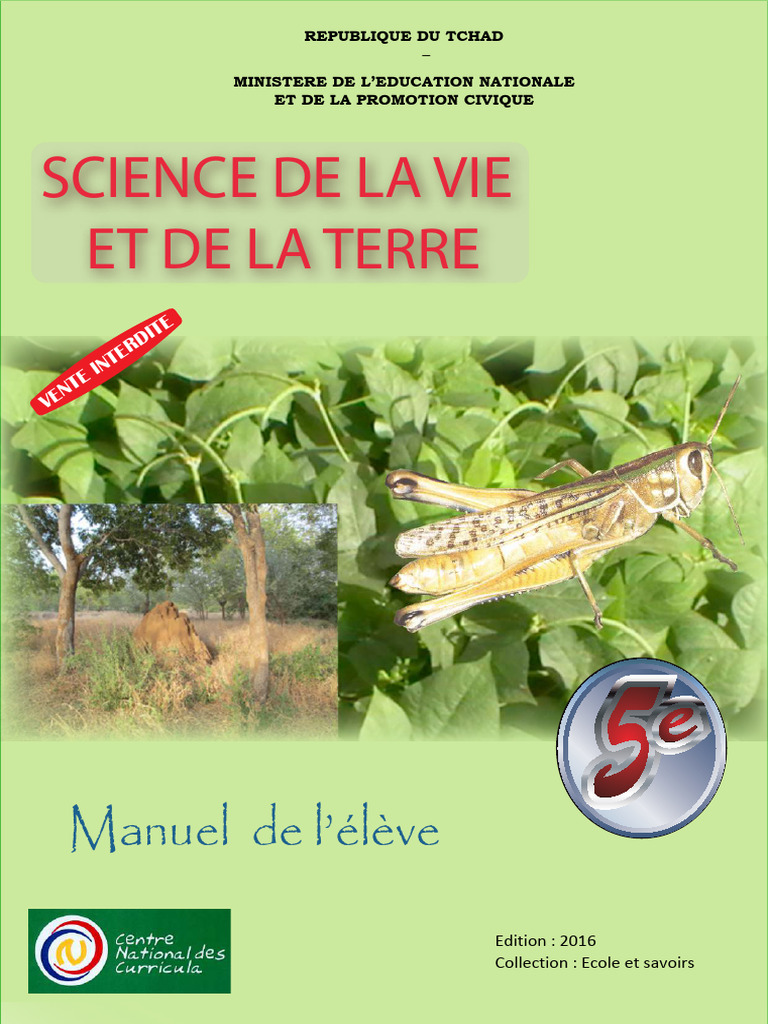 Reproduction Des Grenouilles En SVT 5 me PDF Amphibiens Grenouille