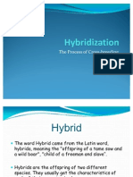 Hybridization 2