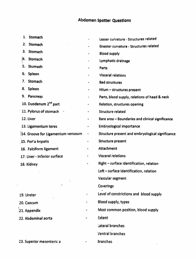 Abdomen and Pelvis Anatomy Overview | PDF | Abdomen | Anatomy