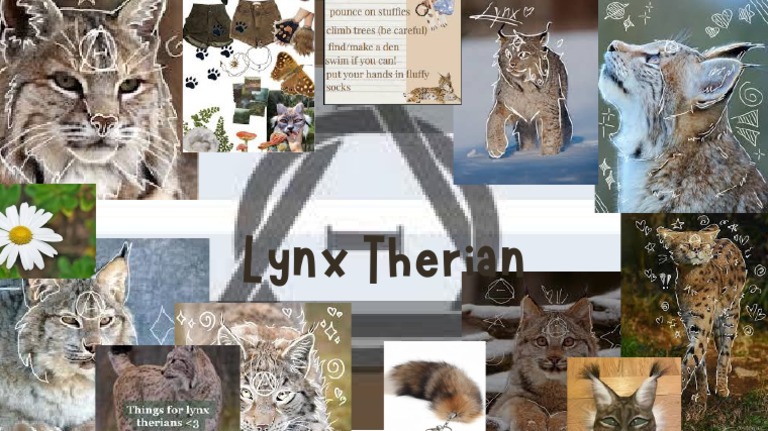 Understanding Lynx Therian Identity | PDF