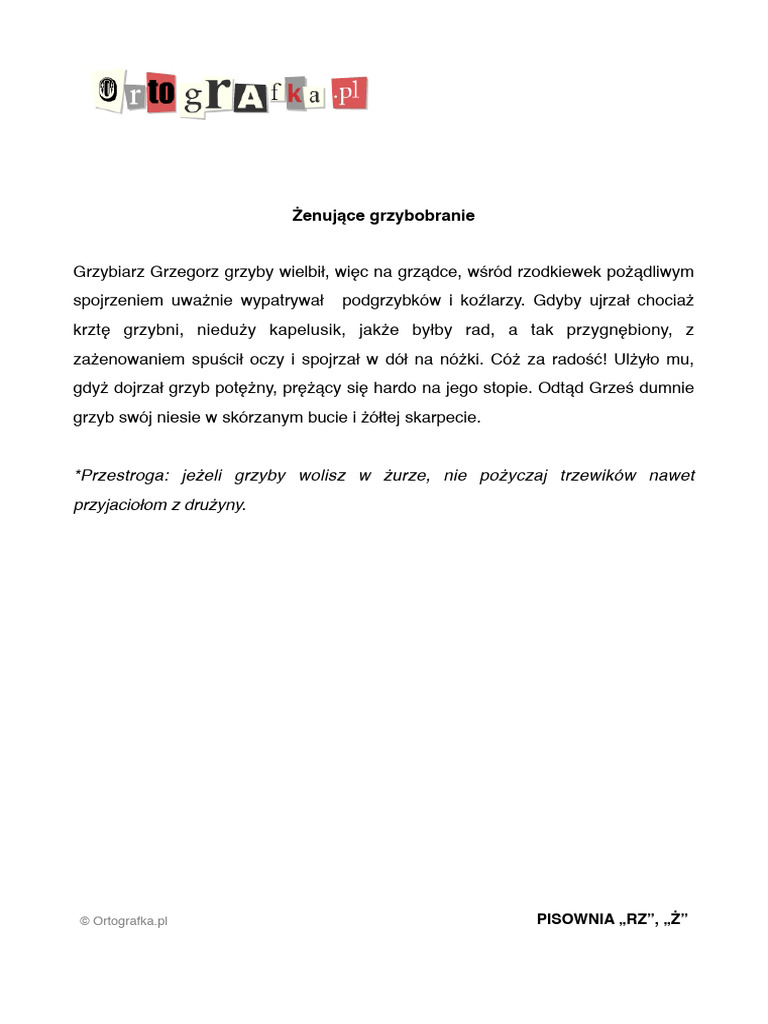 Dyktando Z ą ę Klasa 2