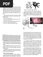 Download APPENDISITIS - TINJAUAN PUSTAKA by Mira Puspita SN79214825 doc pdf