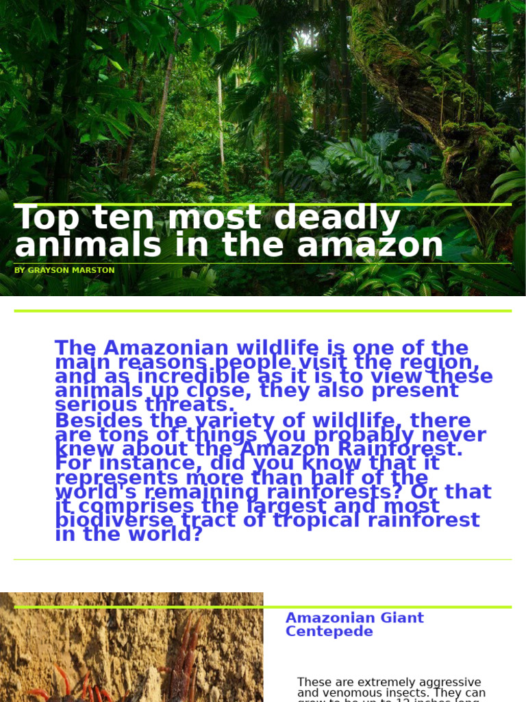 Presentation 10 | PDF