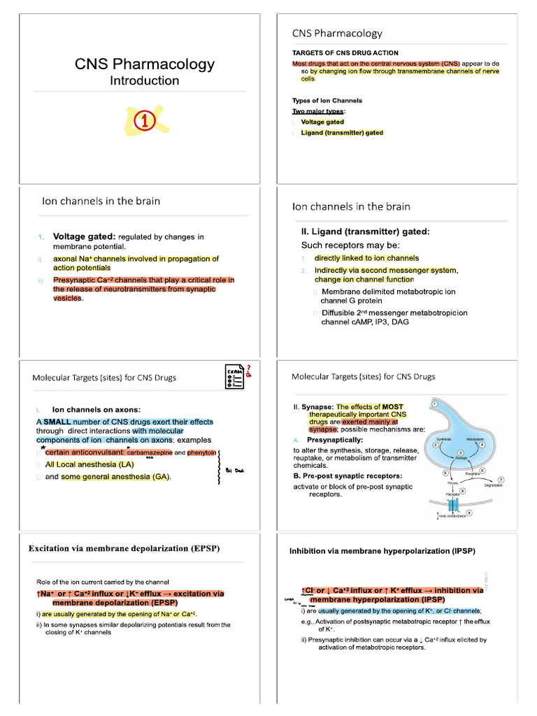 6-Introduction To CNS Pharmacology | PDF