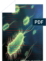 Chapitre III Physiologie Bactérienne