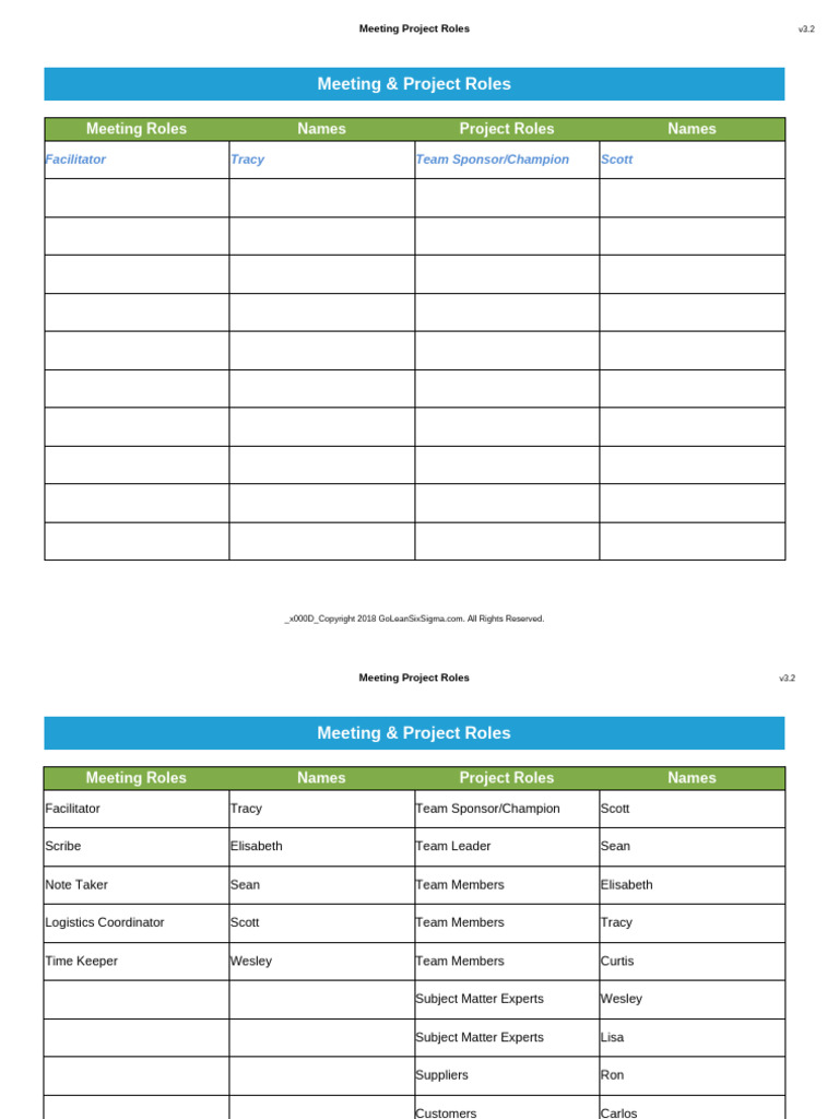 Meeting-Project-Roles v3.2 GoLeanSixSigma - Com | PDF