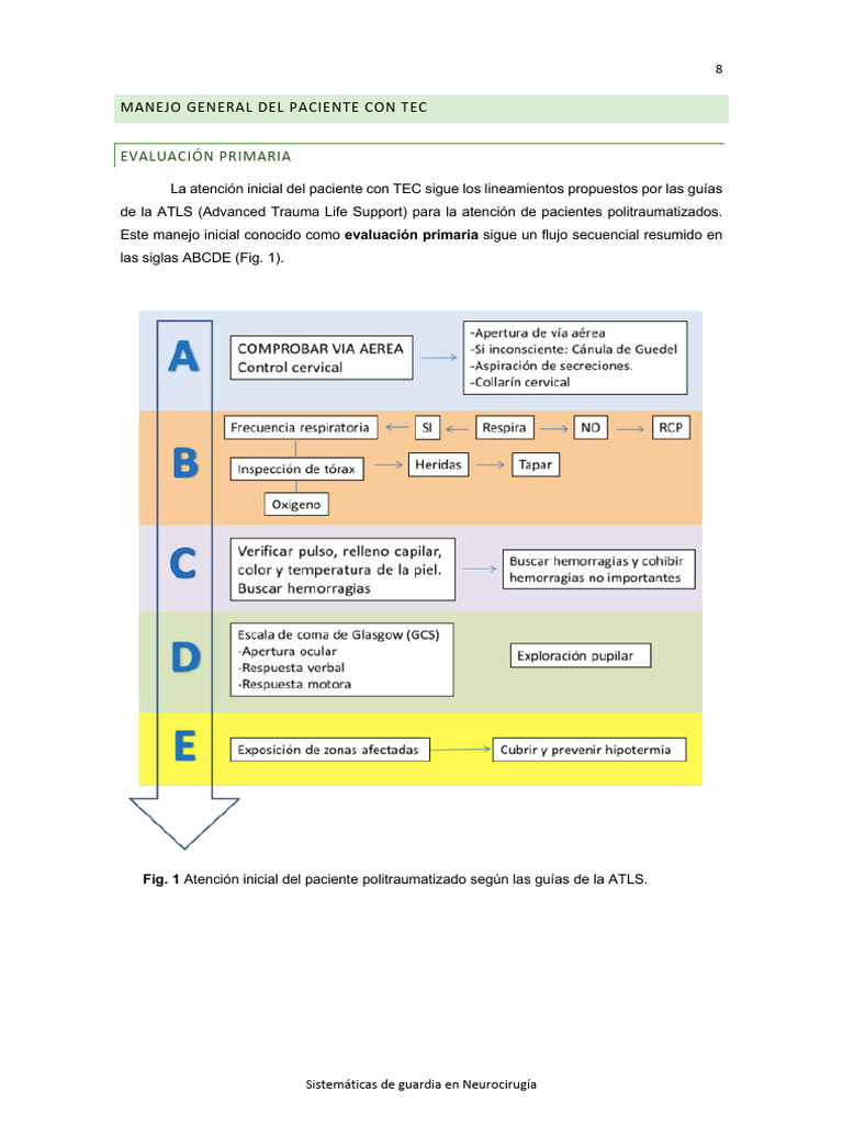 Guia TEC | PDF | Especialidades Medicas | Medicina CLINICA