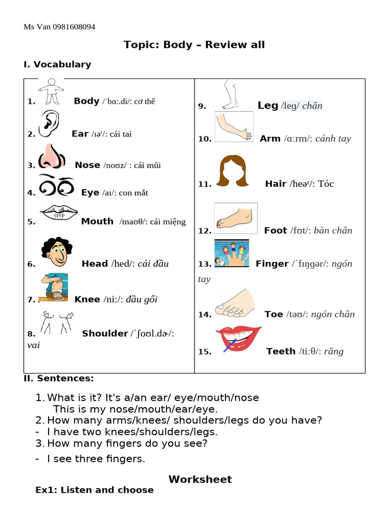 Topic Body - Review All | PDF