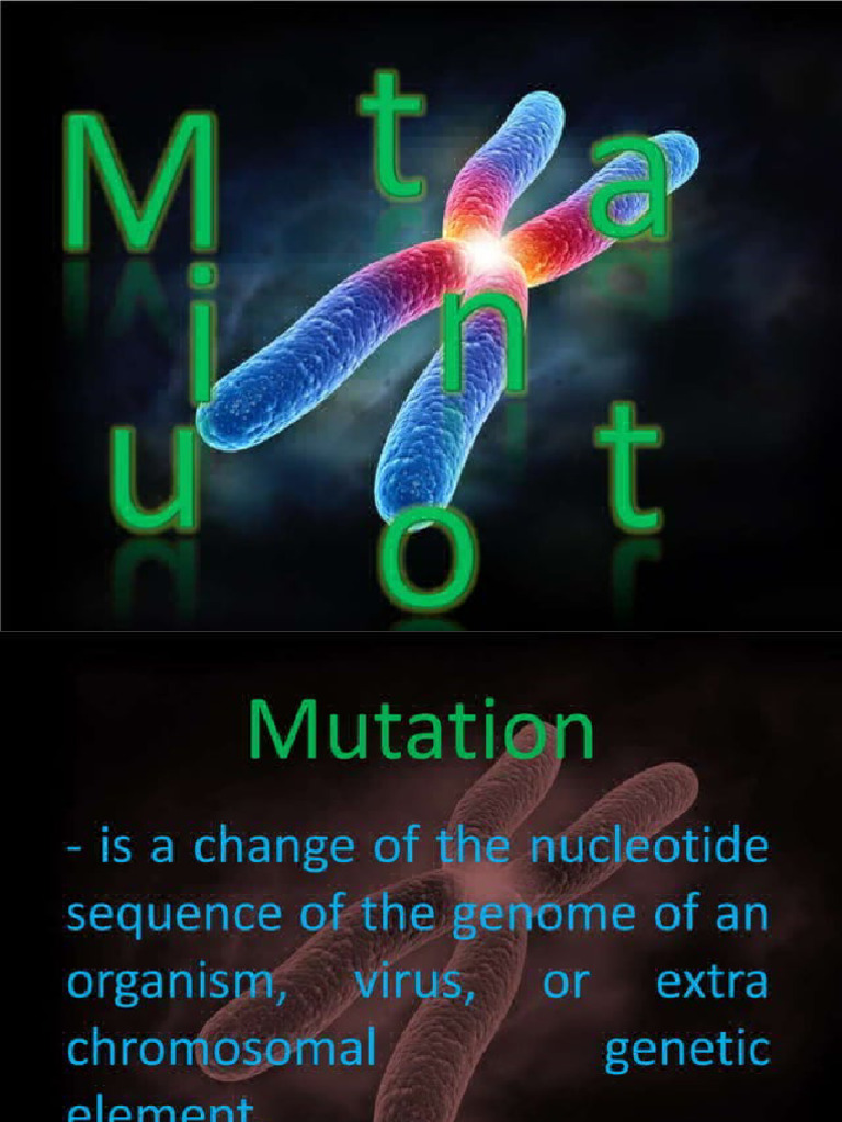 Mutation | PDF