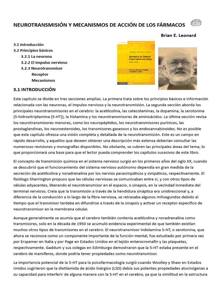 Seminario Fisiología | PDF | Sinapsis | Neurona