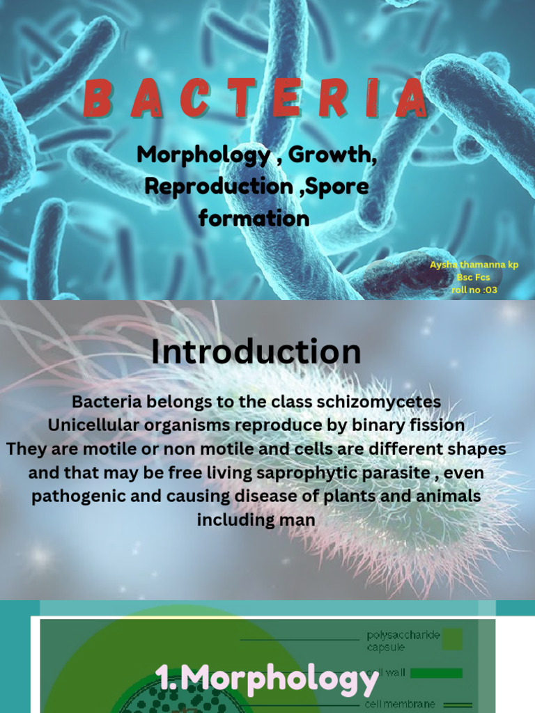 Bacterial Morphology and Growth Factors | PDF | Bacteria | Cell (Biology)