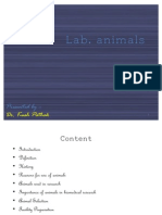 Lab Animals - Kush