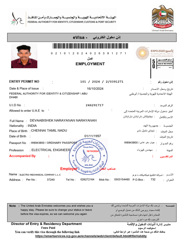 E Visa | PDF