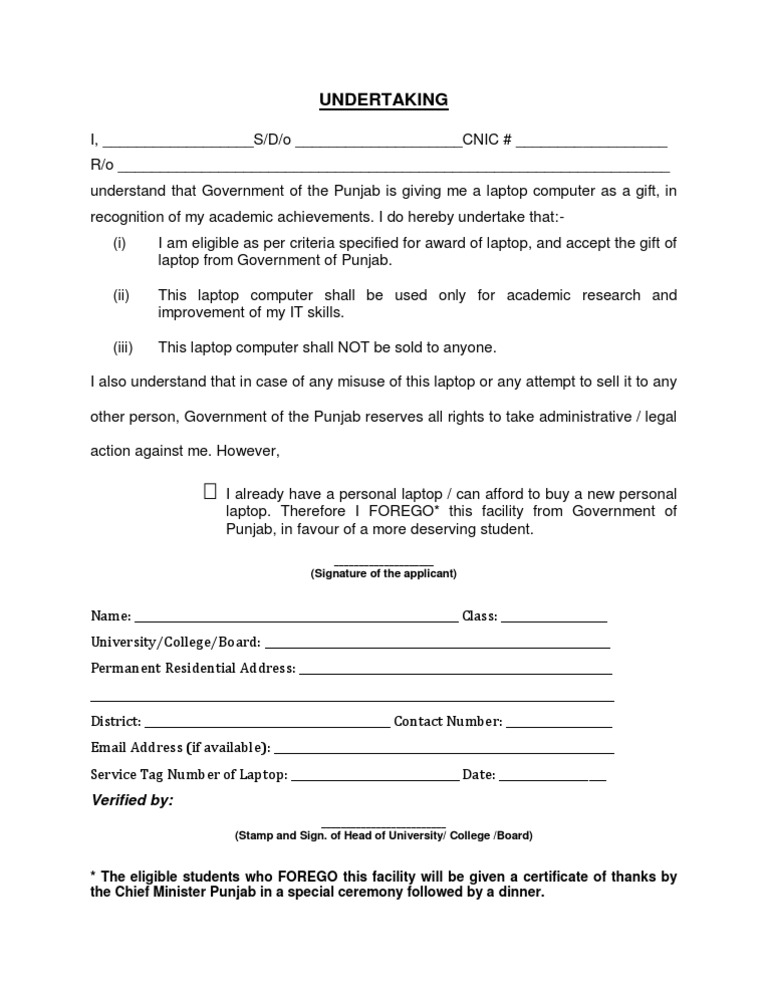 Undertaking | PDF