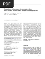 Download Chromosomal Regions Transmission by Fernanda Pereira da Cruz SN79226414 doc pdf