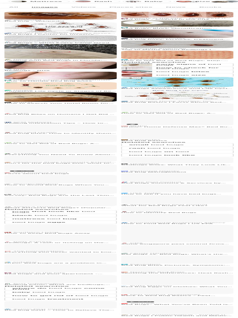 Bed Bugs - Google Search | PDF | Insects And Humans