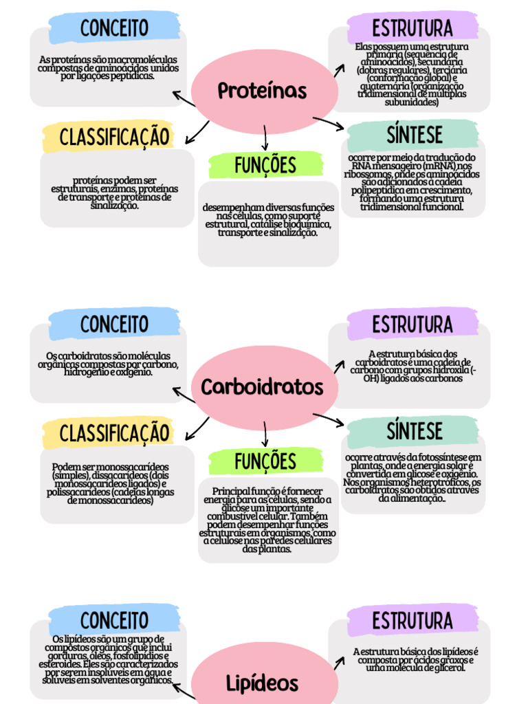Mapa Mental: Lipídios, Proteínas e Carboidratos | PDF | Lipídio ...