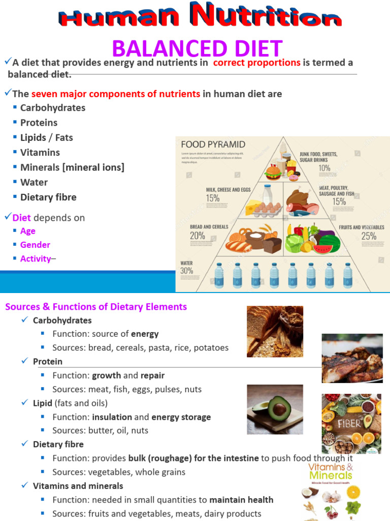 Balanced Diet and Human Nutrition Guide | PDF | Digestion | Human Tooth