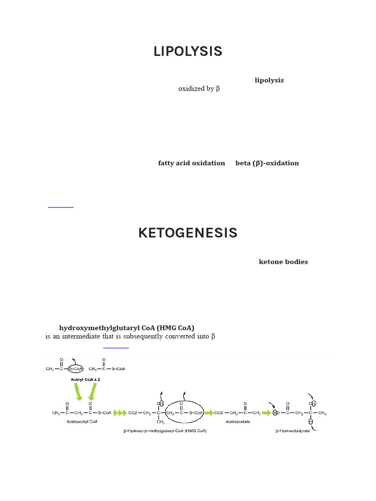 LIPIDMETABOLISM L2 BIOCHEMfi | PDF | Lipid | Fatty Acid