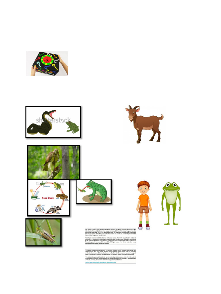 Picture Science DLP | PDF