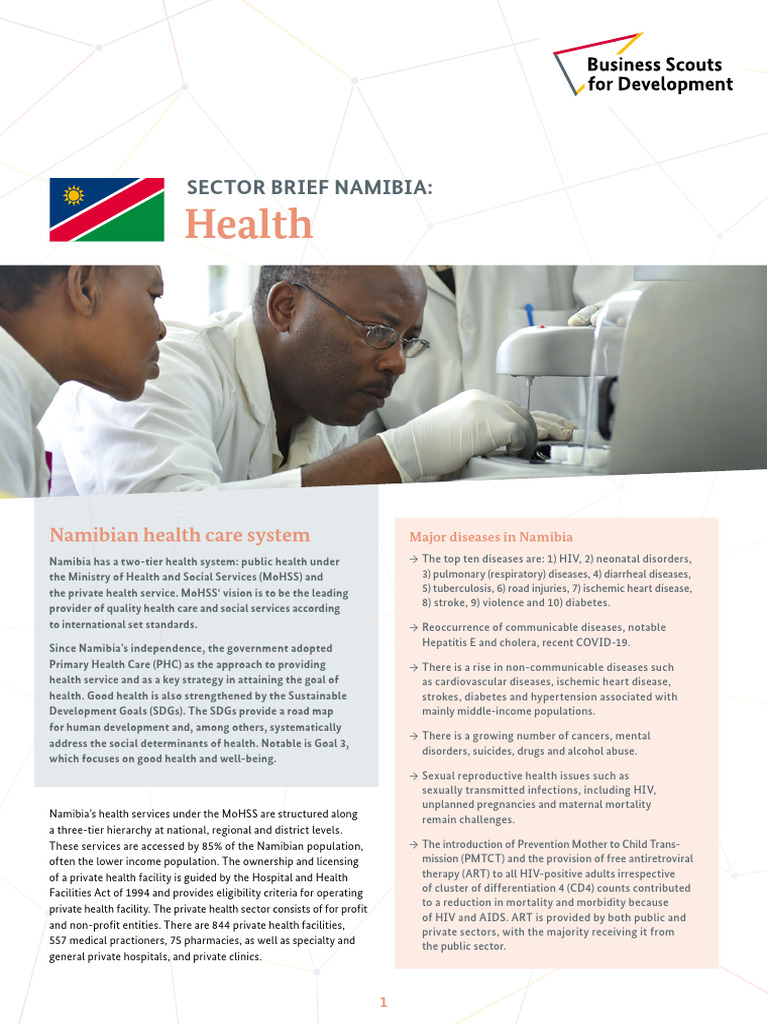 Giz2023 Sector Brief Namibia Health | PDF | Pharmacy | Health Sciences