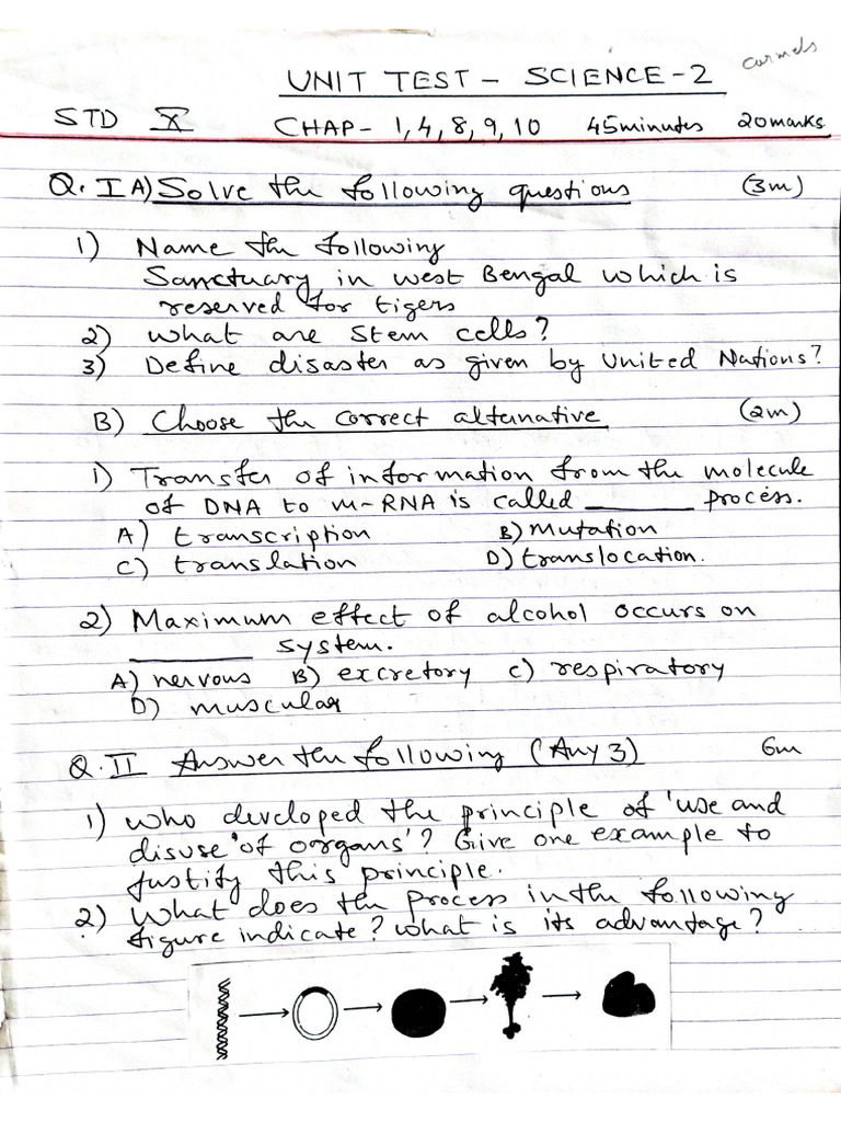 Ut Std X Science 2 Cmel Pdf