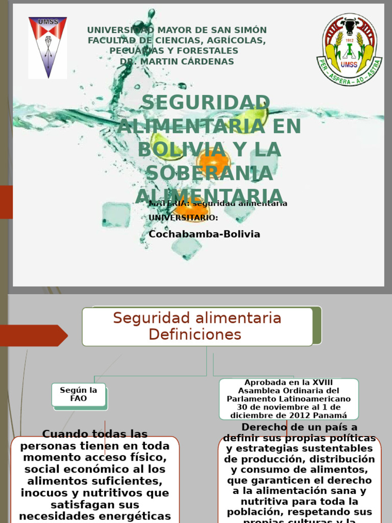 Seguridada Alimentaria en Bolivia y La Soberania Alimentaria | PDF ...