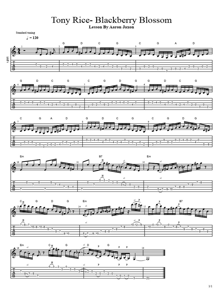 Tony Rice's Blackberry Blossom Tab | PDF