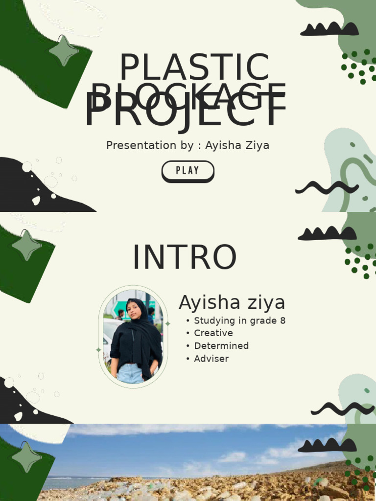 Plastic Blockage Project Overview | PDF | Self-Improvement