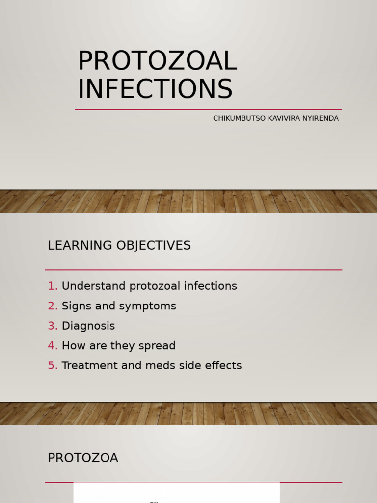 Antiprotozoal Drugs 1 | PDF | Causes Of Death | Diseases And Disorders
