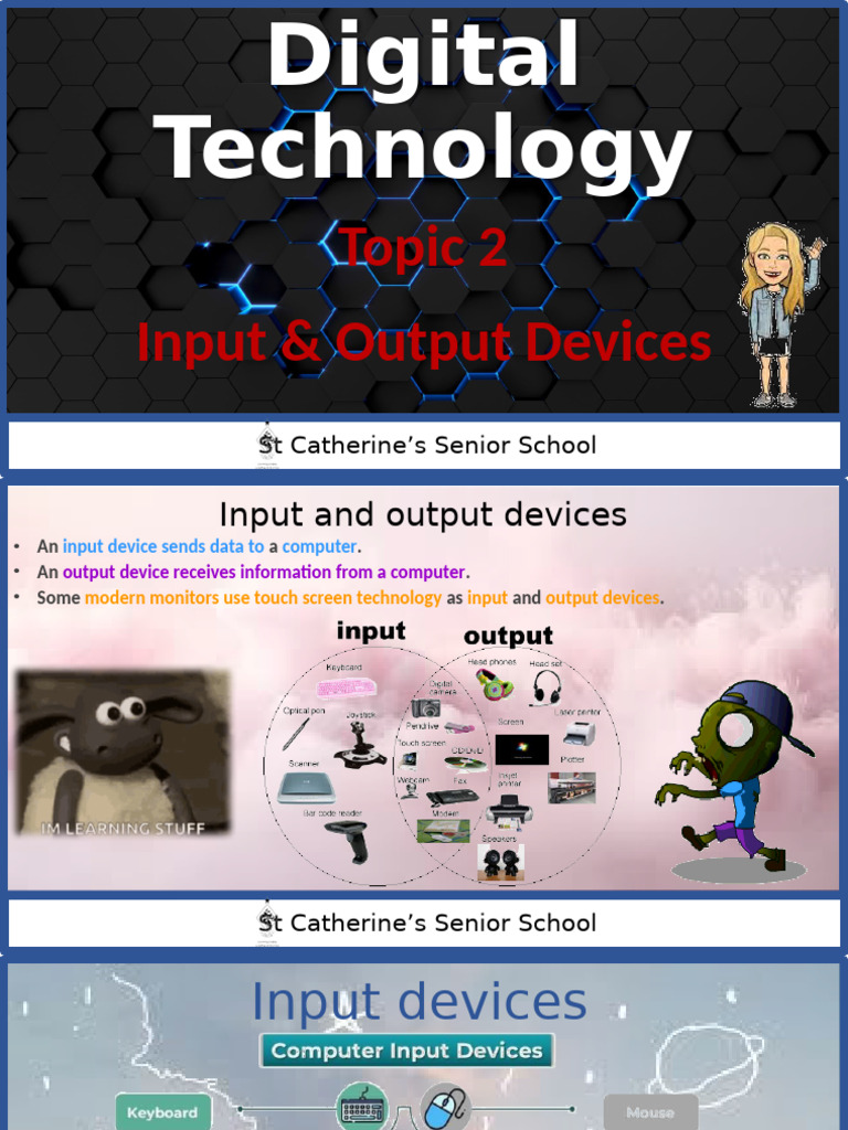 Input and Output Devices Overview | PDF | Printer (Computing) | 3 D ...