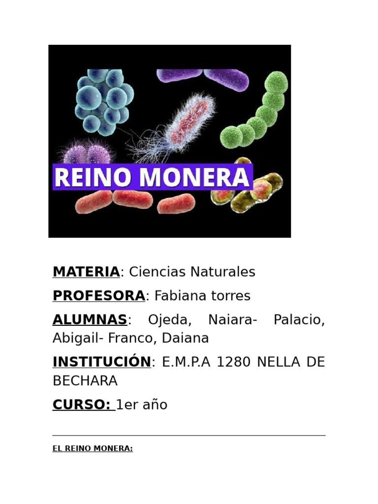 Introducción al Reino Monera | PDF | Las bacterias | Citoplasma